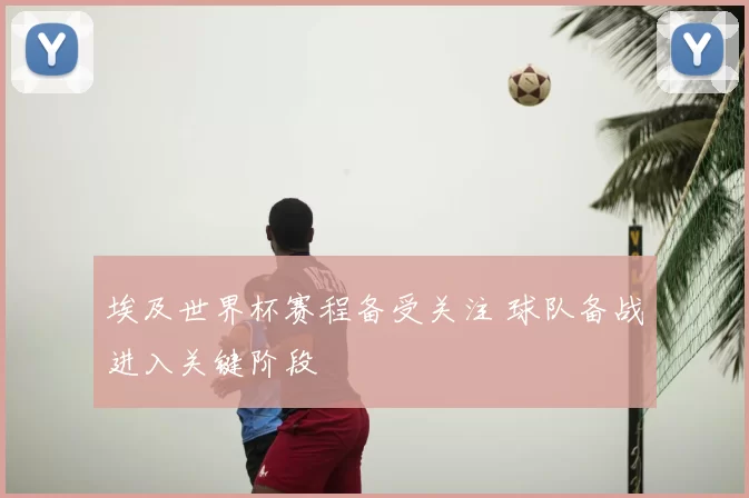 埃及世界杯赛程备受关注 球队备战进入关键阶段