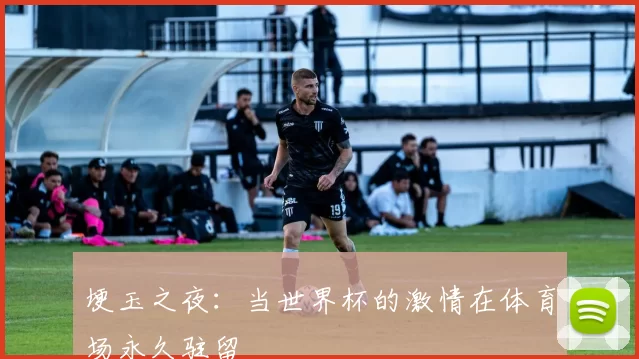 埂玉之夜:当世界杯的激情在体育场永久驻留