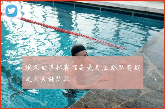 埃及世界杯赛程备受关注 球队备战进入关键阶段