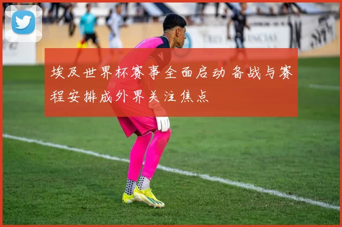 埃及世界杯赛事全面启动 备战与赛程安排成外界关注焦点