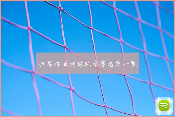 世界杯亚洲球队参赛名单一览