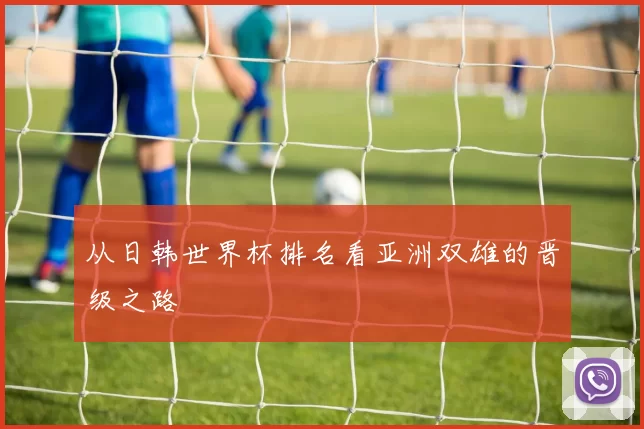 从日韩世界杯排名看亚洲双雄的晋级之路
