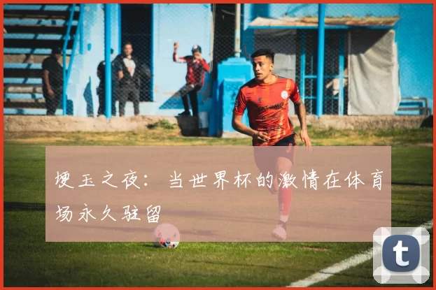 埂玉之夜：当世界杯的激情在体育场永久驻留